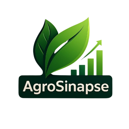 Equipe AgroSinapse